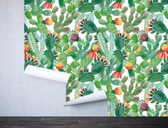 Exotic Cactus Wallpaper