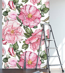 White Pink Roses Wallpaper
