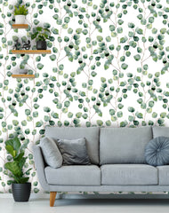 Eucalyptus Round Leaves Wallpaper