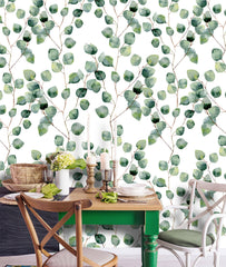 Eucalyptus Round Leaves Wallpaper